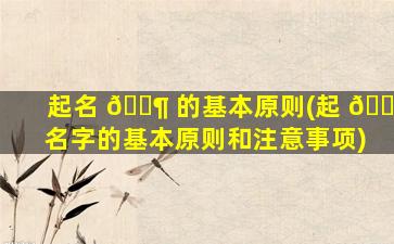 起名 🐶 的基本原则(起 🐱 名字的基本原则和注意事项)